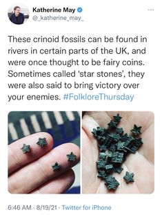 someone is holding up some tiny stars in their hand and the caption reads, these crinoid fossils can be found in rivers