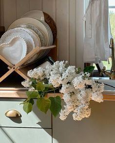 white flowers are sitting in a vase on the kitchen counter next to an empty dishwasher