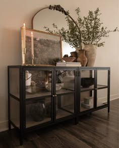 a glass cabinet with a mirror and vase on top next to a wall mounted plant