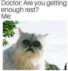 a cat with the caption doctor are you getting enough rest? me