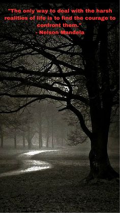 a foggy night in the park with trees