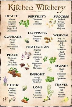 Zodia Pești, Witchcraft Herbs, Witch Herbs, Medical Herbs, Kitchen Witchery