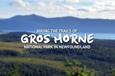 hiking the trails of gros morne national park in newfoundland