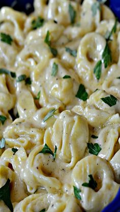 an easy roasted garlic alfredo tortelli recipe