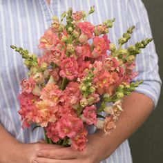 a person holding a bouquet of flowers in their hands