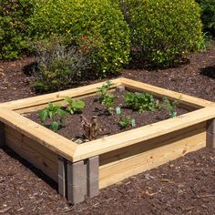 a raised garden bed with plants growing in it