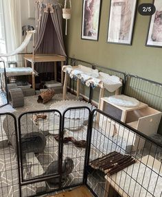 there are many cages in the room with animals on them and one cat is laying down