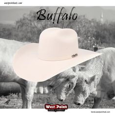 Buffalo WestPointHats Felt Texana Buffalo