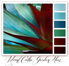 the color scheme is blue, green, and red with an image of a plant