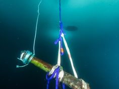 a rope attached to a pipe in the water