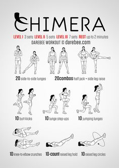 a poster with instructions on how to do the chimera workout for beginners