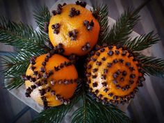 some oranges with chocolate chips on them are arranged in a pine tree branch arrangement