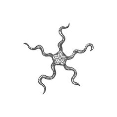 an octopus is drawn in black and white on a white background, it looks like the tentacles are intertwined