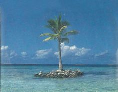 a lone palm tree on an island in the middle of the ocean