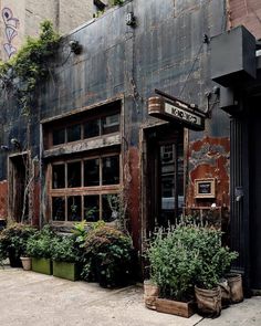 an old building with plants growing out of it