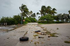 an empty street is littered with debris and broken tires in the middle of palm trees