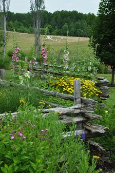 a wooden fence surrounded by wildflowers and other flowers