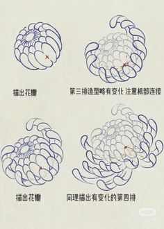 four drawings of flowers with chinese writing on them