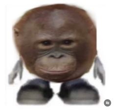 an image of a monkey that is looking at the camera and has his head tilted to the side