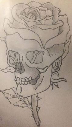 a drawing of a skull with a rose on it