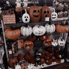 a display case filled with lots of pumpkins and jack - o'- lanterns