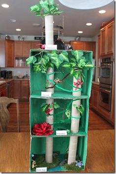 a green shelf with plants and candles in it on a wooden table next to a kitchen