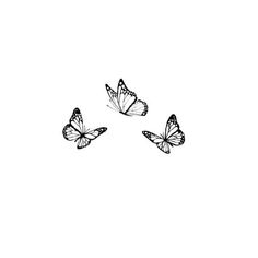 three butterflies flying in the sky with one on top of it's head and another on