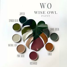 a poster with different shades of paint and the words w o wise owl painted on it