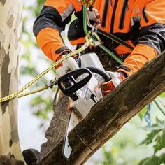 a man in an orange and black jacket is using a chainsaw on a tree