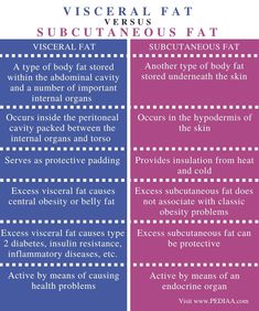 Subcutaneous Fat Loss, Visceral Fat Loss, Skin Anatomy, Visceral Fat, Adipose Tissue, Baby Fat, Skeletal Muscle, Thigh Muscles, Abdominal Fat