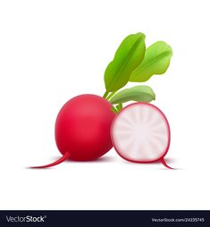 two radishes with green leaves on white background