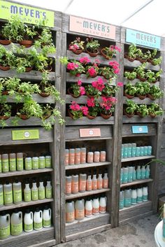 the shelves are filled with plants and flowers