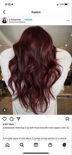 Deep Wine Red Hair Color, Red Tint In Brown Hair, Red Tones Hair Color Dark Brown, Dark Wine Hair Color Burgundy, Dark Red Mahogany Hair Color, Red Tint Hair Dark, Hair Color Ideas Red And Brown, Balayage Hair Dark Red, Dark Red Hair Brunettes