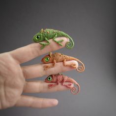 three miniature chamelons sitting on the fingers of someone's hand with green eyes