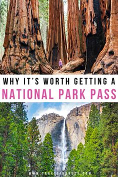 the national park pass in yose, california with text overlay that reads why it's worth getting a national park pass