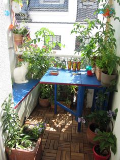 a blue table sitting on top of a wooden floor next to potted plants