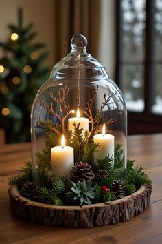 candles are lit in a glass dome with evergreen and pine cones