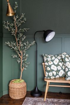 a living room with green walls and a black floor lamp next to a tree in a basket