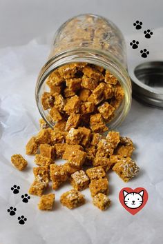 dog treats in a glass jar with paw prints on the paper next to it and an image of a cat's paw print