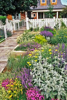 a garden with flowers in front of a white picket fence and a house on the other side