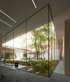 an office with glass walls and trees in the background