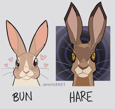 two rabbits with different faces and the words bunn are in front of each other