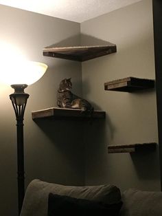 a cat sitting on top of a wooden shelf next to a lamp in a living room