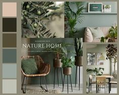 a collage of photos with plants and furniture