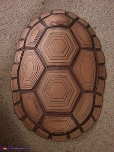 a turtle shell is sitting on the floor