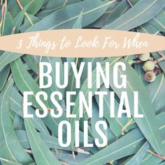 Most of us know by now the healing powers that essential oils provide but are we paying attention to where these oils are coming from, what's in them, and how they're made?   It important to use high quality oils when applying them to the skin or breathing them in, after all, we are trying to improve our health with them.  Here are 3 things to look for when buying essential oils... Paying Attention, Healing Powers, 3 Things, Made It, To Look, Essential Oils