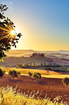 the sun shines brightly over rolling hills and fields in the countryside near pienza, italy