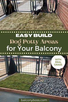 a dog sitting on top of a pile of rocks next to a fence with the words easy