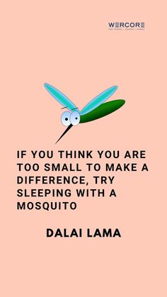 a pink background with an image of a dragonfly and the words if you think you are too small to make a difference, try sleeping with a mosquito