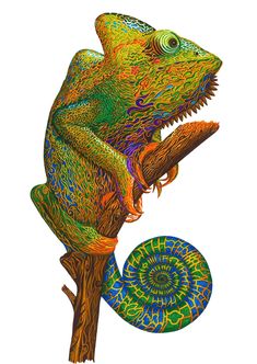 a colorful chamelon sitting on top of a tree branch next to a spiral design